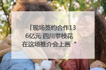 现场签约合作136亿元 四川攀枝花在这场推介会上画“图谱”列“清单”
